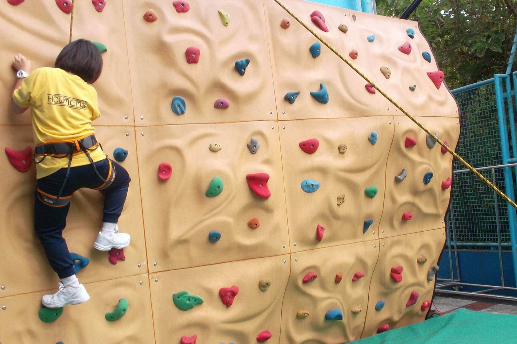 Climbing Wall